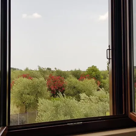 Farma Il Casale Degli Ulivi - - Tenimenti Leone Lanuvio