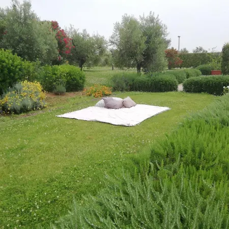 Il Casale Degli Ulivi - - Tenimenti Leone Farma