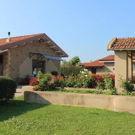 Il Casale Degli Ulivi - - Tenimenti Leone