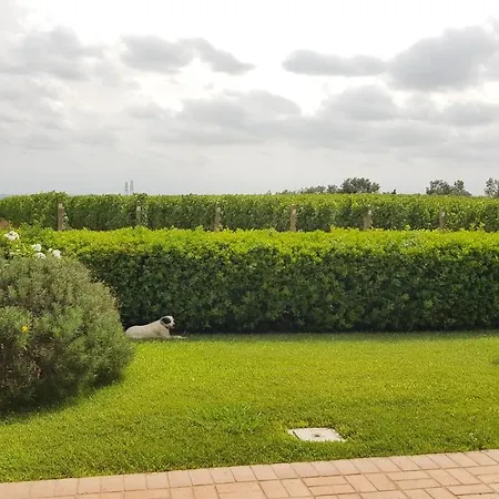 Il Casale Degli Ulivi - - Tenimenti Leone