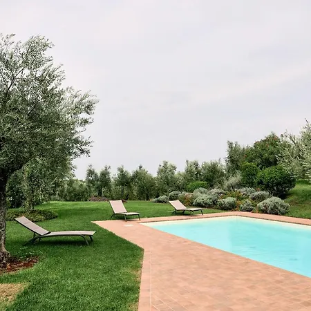 Il Casale Degli Ulivi - - Tenimenti Leone
