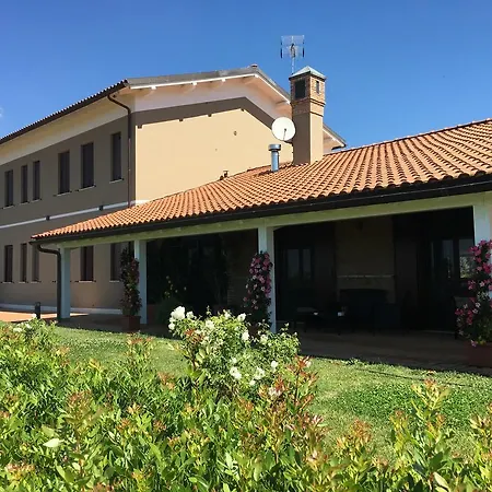 Il Casale Degli Ulivi - - Tenimenti Leone