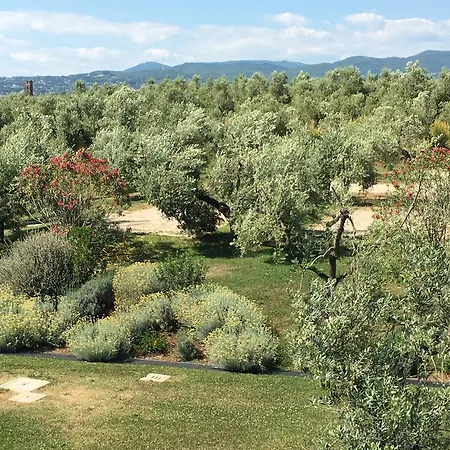 Il Casale Degli Ulivi - - Tenimenti Leone * Lanuvio