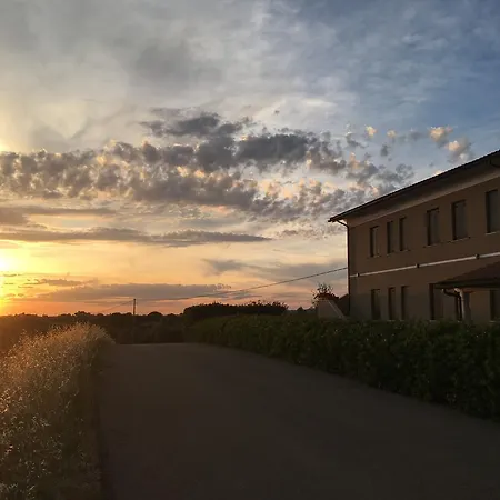 Il Casale Degli Ulivi - - Tenimenti Leone