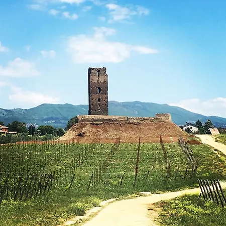 Il Casale Degli Ulivi - - Tenimenti Leone * Lanuvio