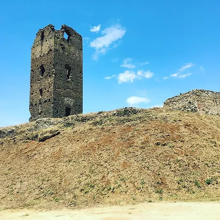 Il Casale Degli Ulivi - - Tenimenti Leone Farma *