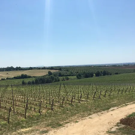 Il Casale Degli Ulivi - *