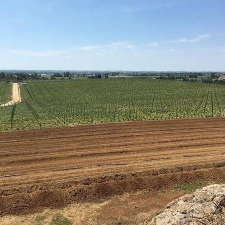 Il Casale Degli Ulivi -
