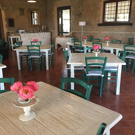 Il Casale Degli Ulivi - - Tenimenti Leone Farma Lanuvio