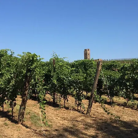 Il Casale Degli Ulivi - - Tenimenti Leone Farma Lanuvio