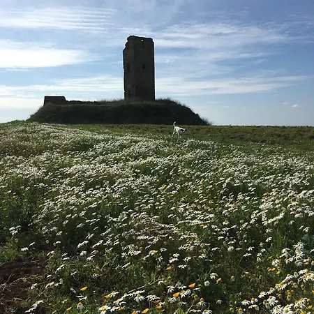 Il Casale Degli Ulivi - - Tenimenti Leone Farma *