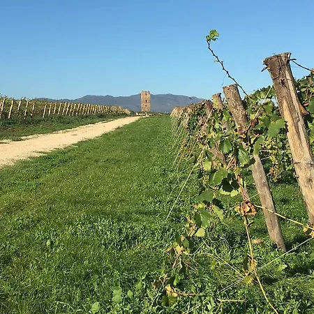Il Casale Degli Ulivi - * Lanuvio