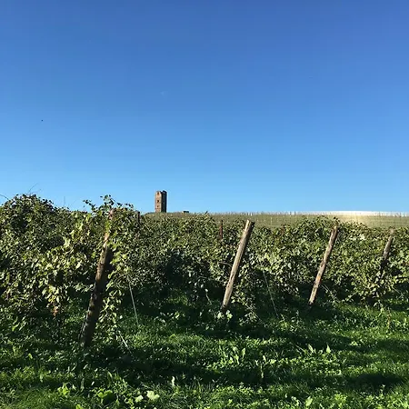 Il Casale Degli Ulivi - - Tenimenti Leone Lanuvio