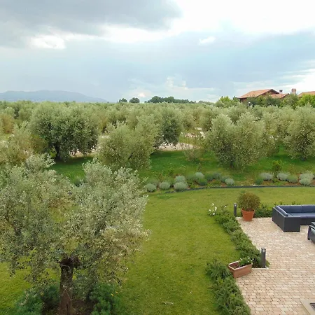 Farma Il Casale Degli Ulivi - - Tenimenti Leone Lanuvio