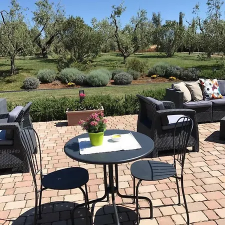 Il Casale Degli Ulivi - Alloggio per agriturismo Lanuvio
