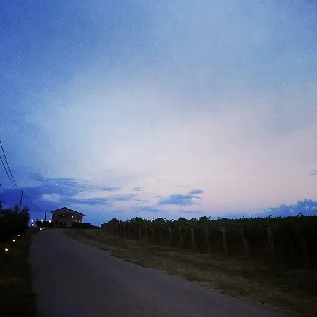 Il Casale Degli Ulivi - *